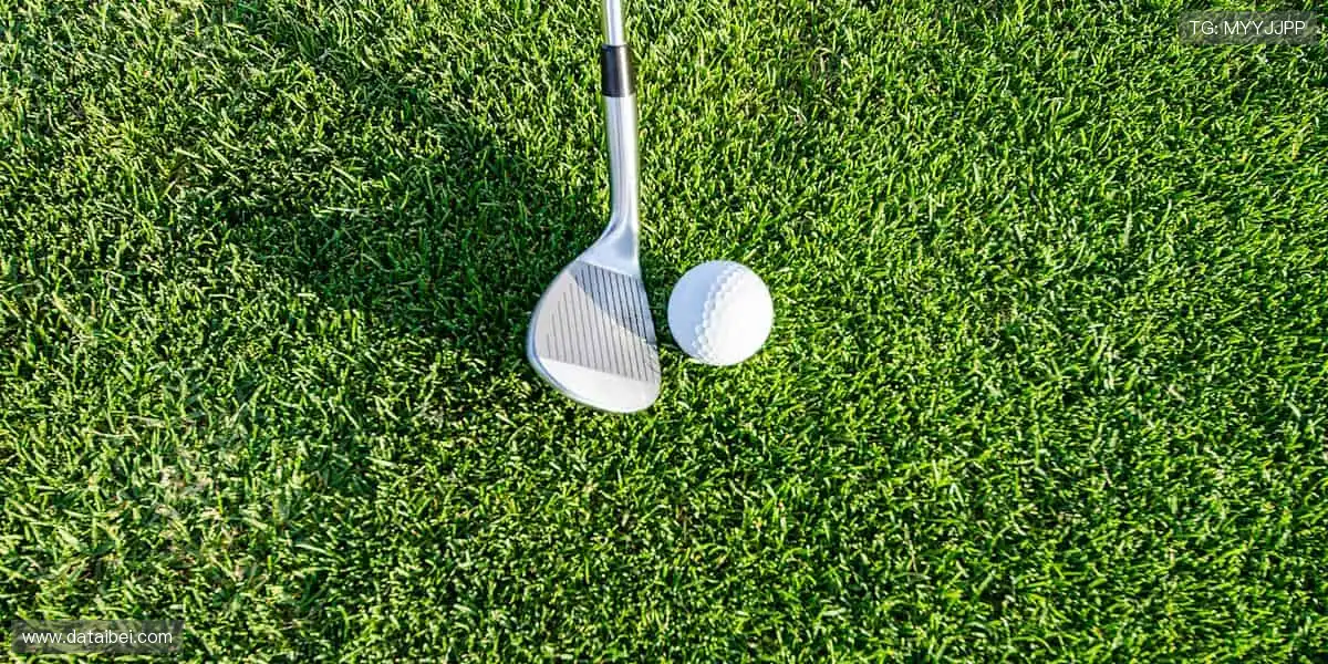 热血赛事，巅峰对决🔥